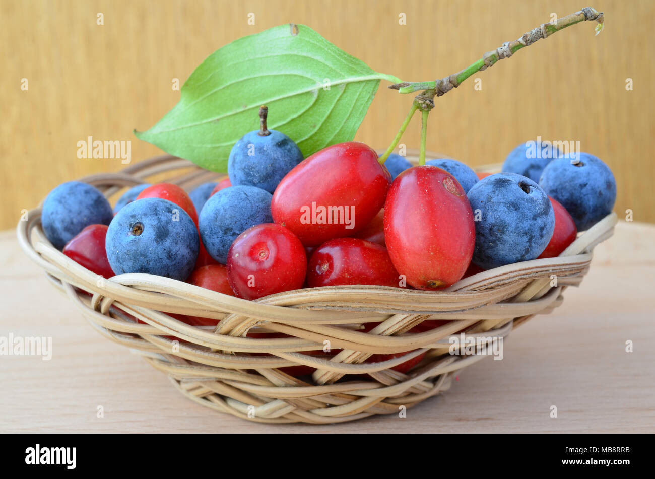 Mixed nutritive and curative, fresh and ripe Cornus mas and Blackthorn or Sloe berries in a wicker basket on wooden background, close up view Stock Photo