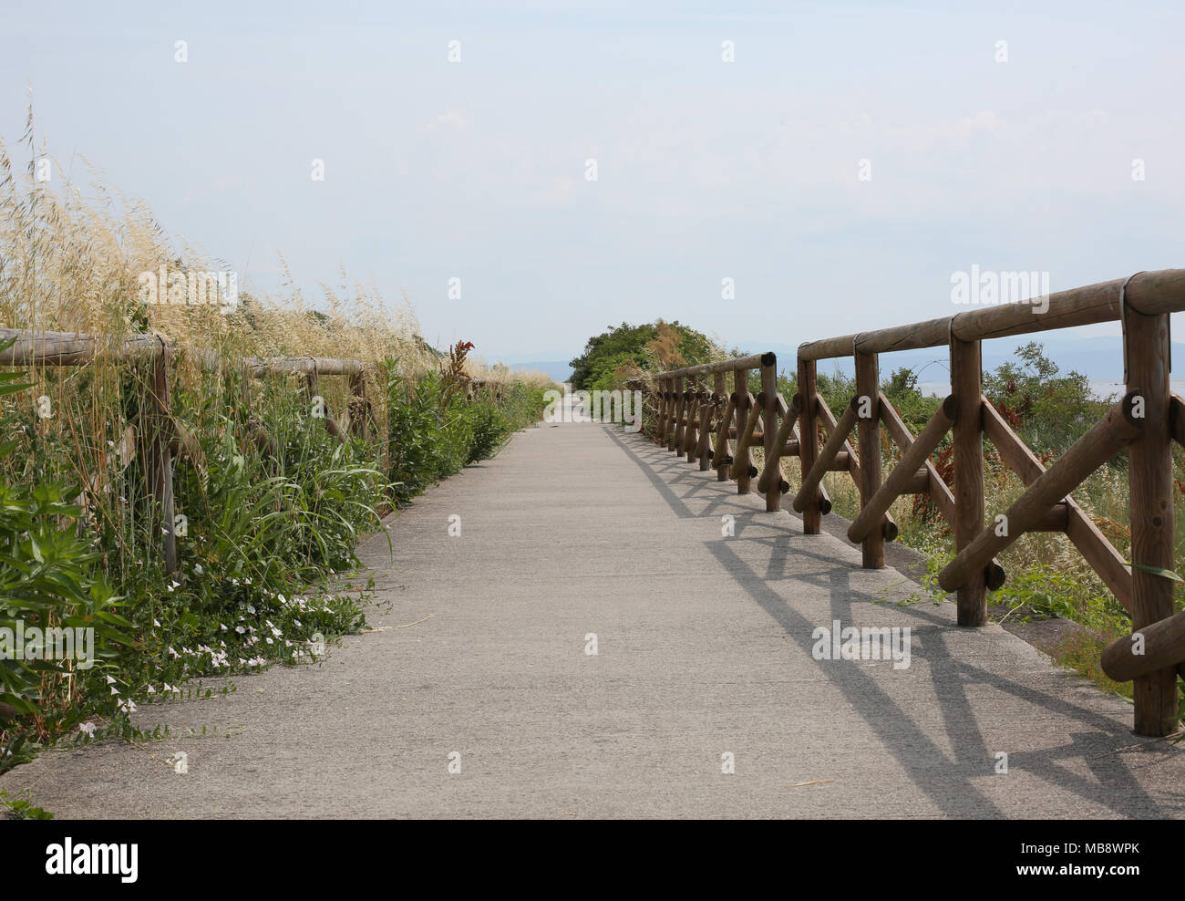walkway with wooden fence of a wide bike path in the middle of nature ...