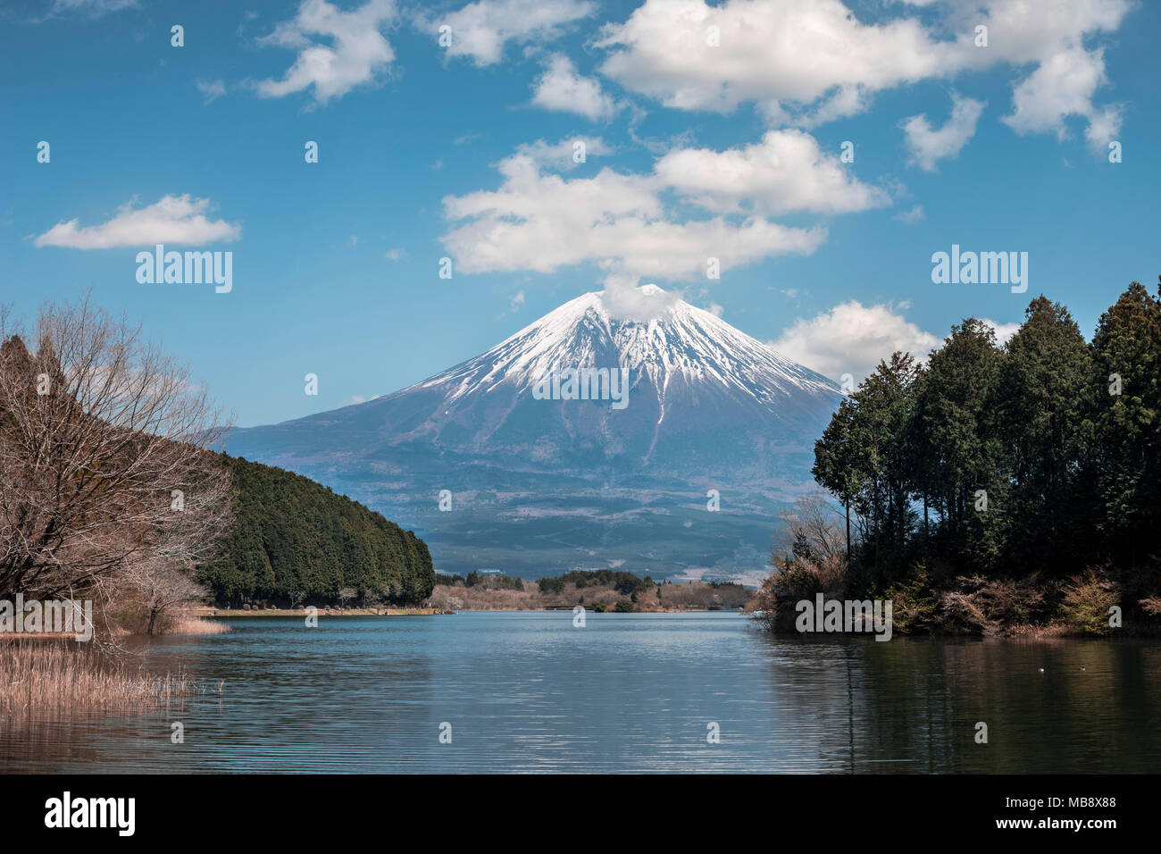 Mt. Fuji from Lake Tanuki Stock Photo