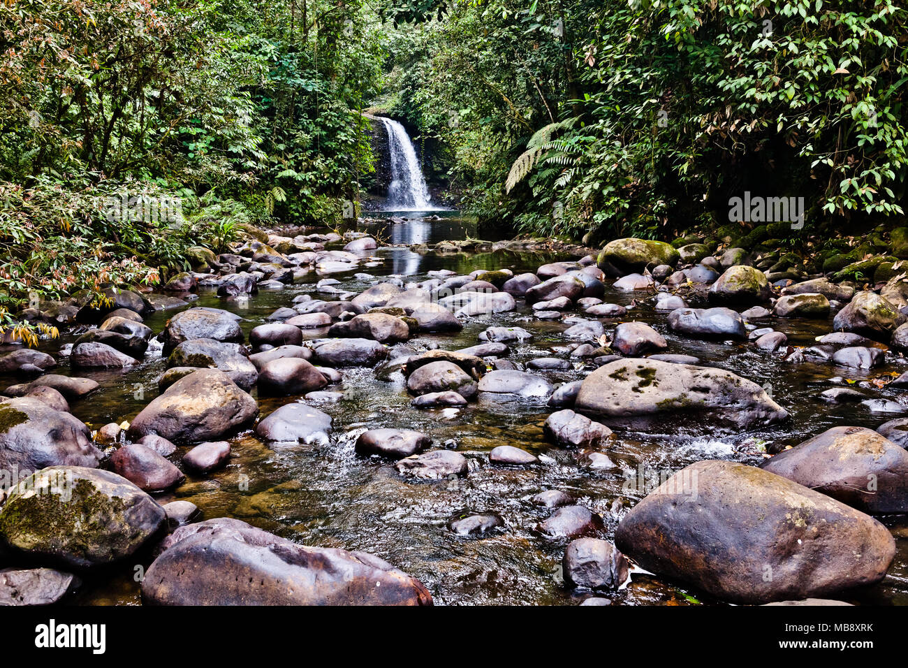 River bed with many rocks, at the foot of a waterfall at jungle Stock ...