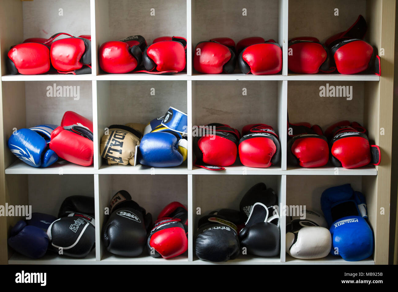 Boxing supplies store cheap