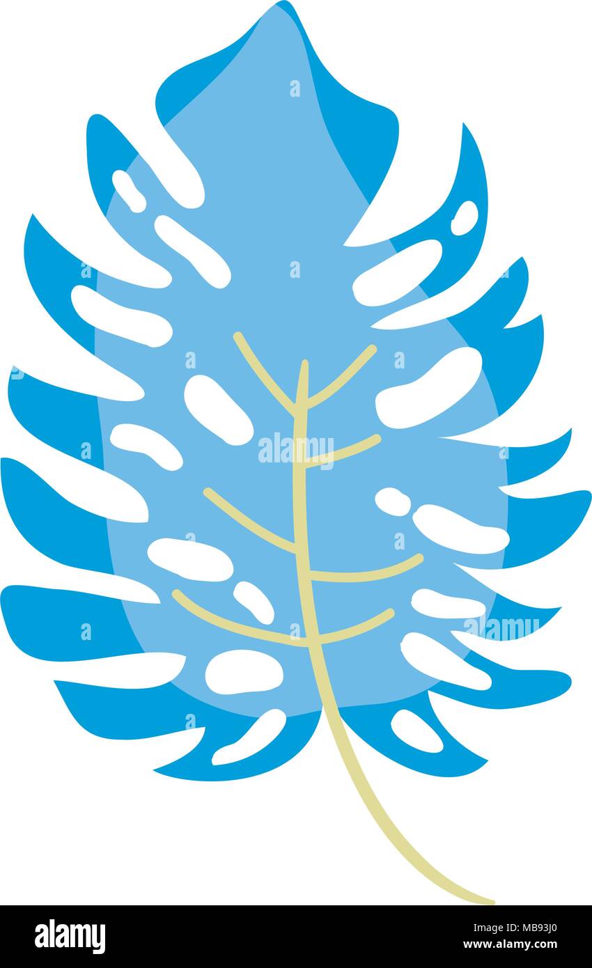 nature exotic leaf of tropical plant Stock Vector Image & Art - Alamy