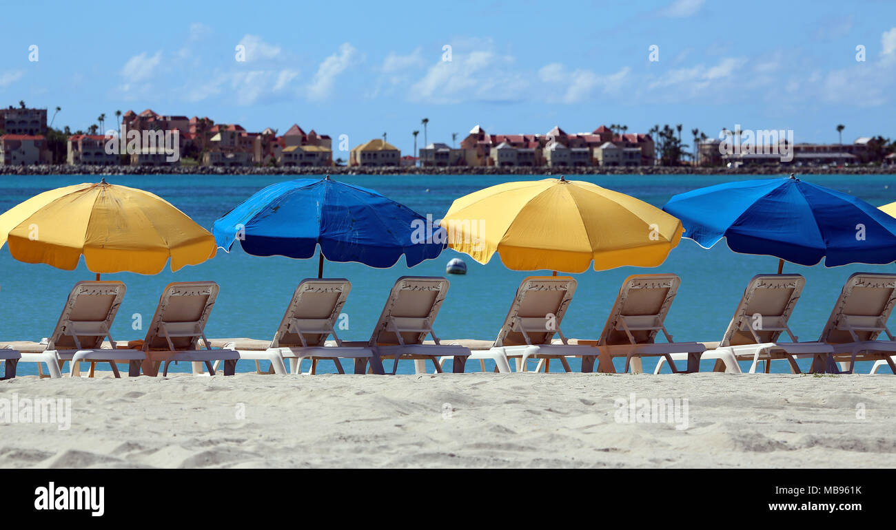 alternating yellow and blue beach umbrellas and beach lounge chairs, Stock Photo