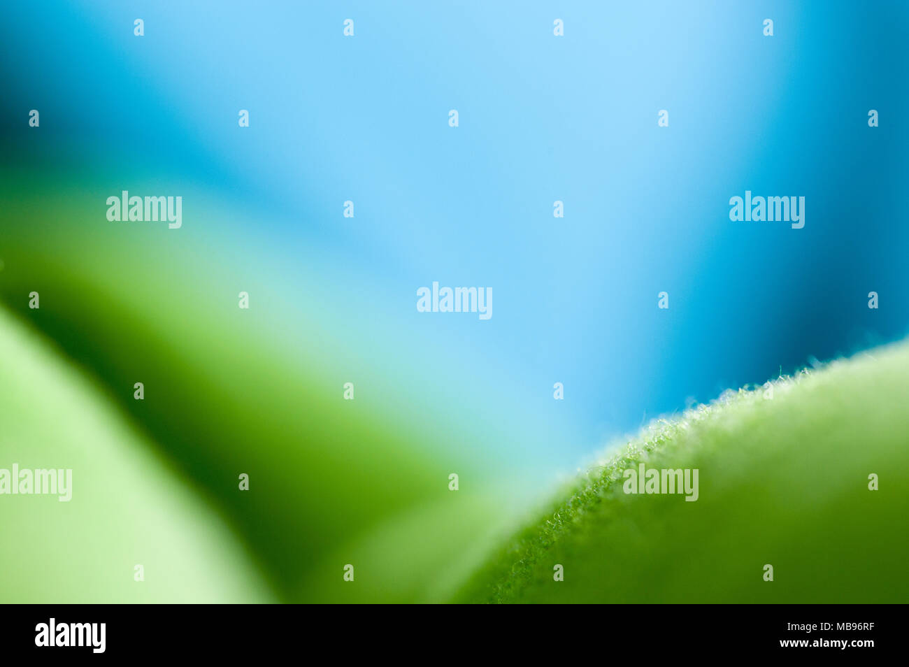 Blue green cover hi-res stock photography and images - Alamy