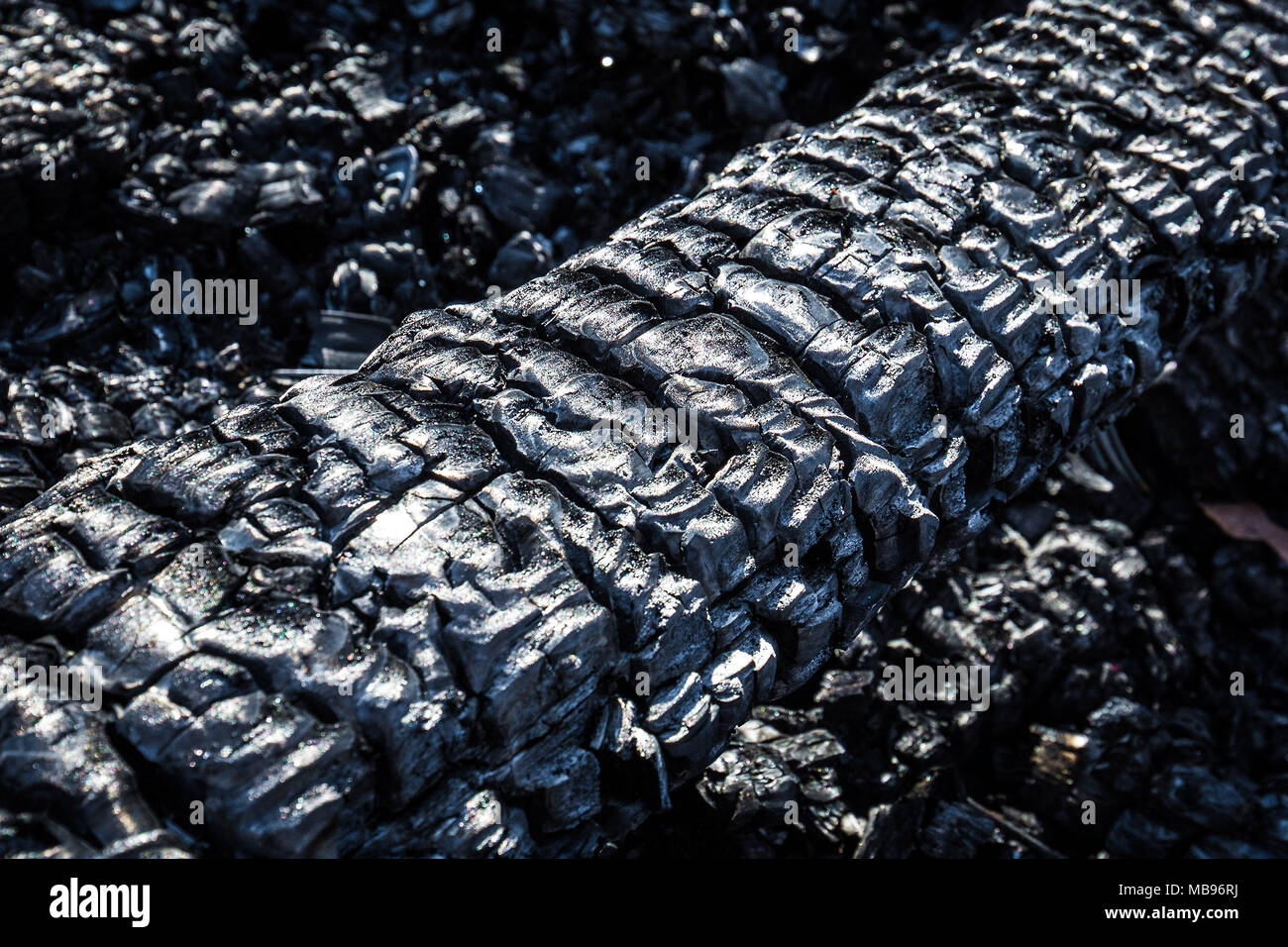 Burned wood ash texture close up macro Stock Photo