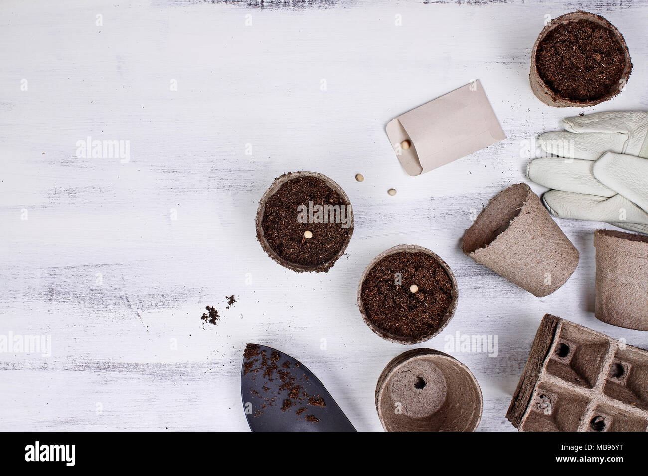 Gardening tools, seeds and soil on a white wooden table. Image shot from above in flat lay style. Stock Photo