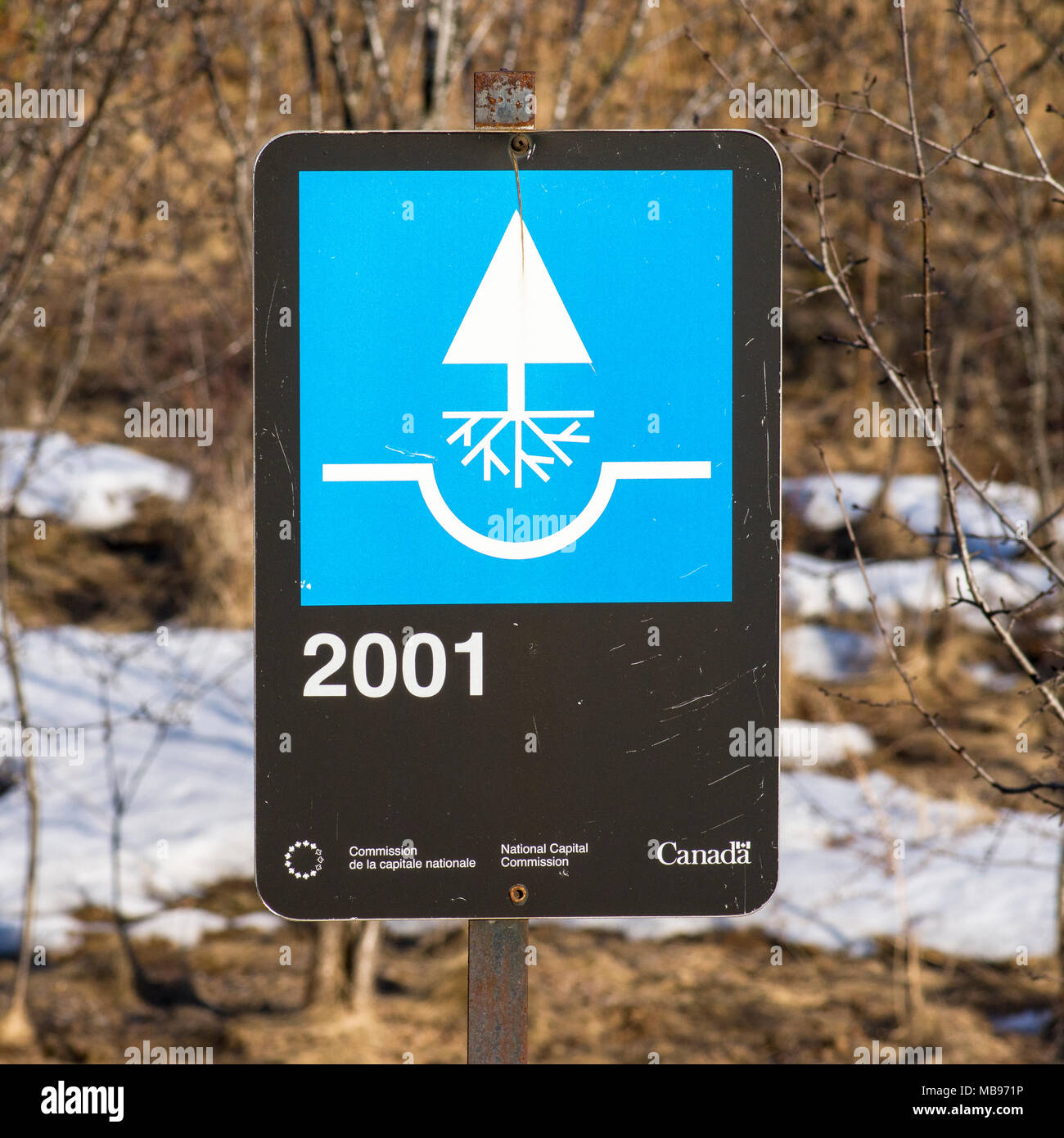 Sign showing the planting date of a plantation of trees in Gatineau, Quebec Stock Photo