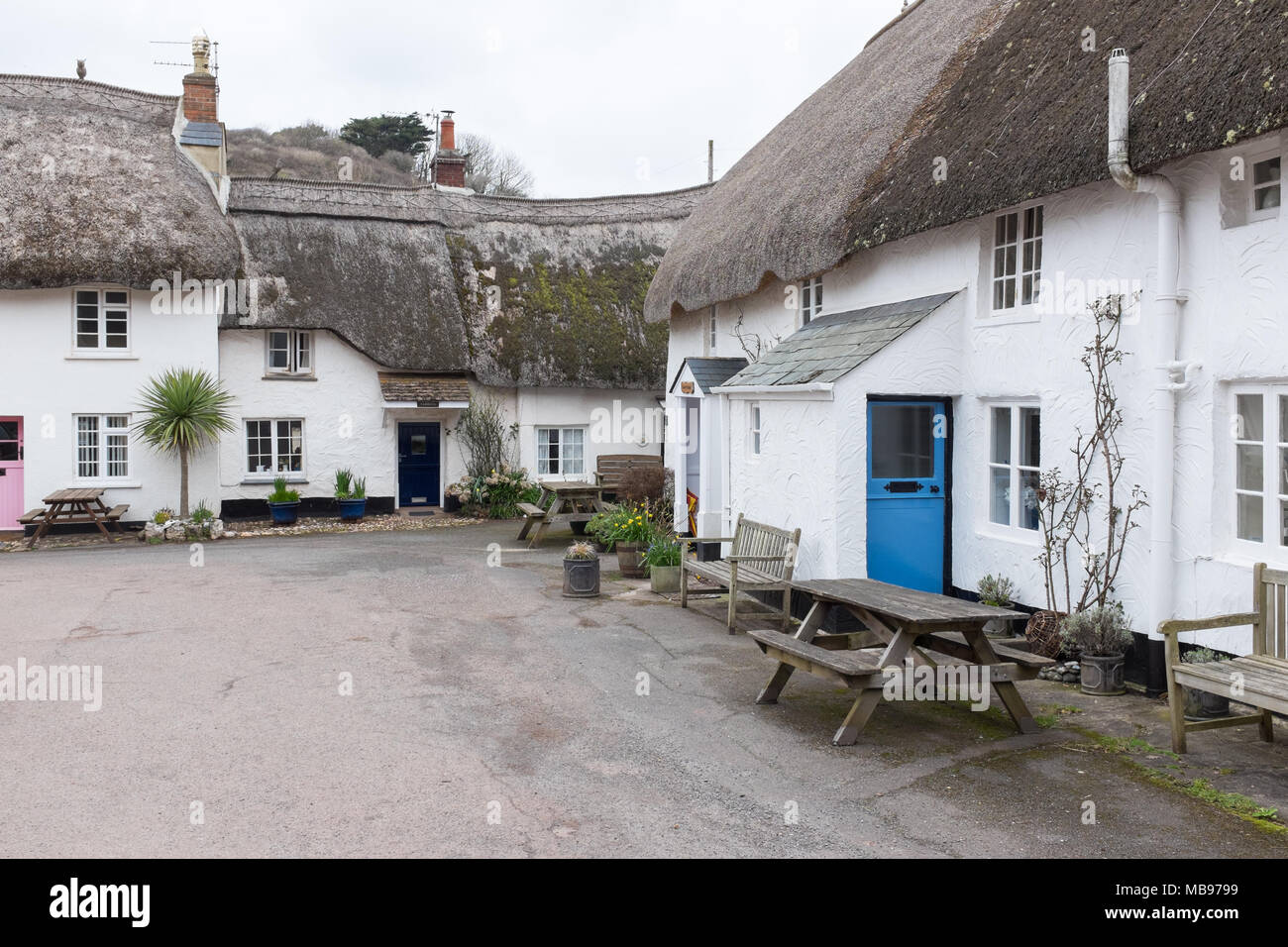 Thatched Cottages In The Pretty South Hams Village Of Hope Cove In
