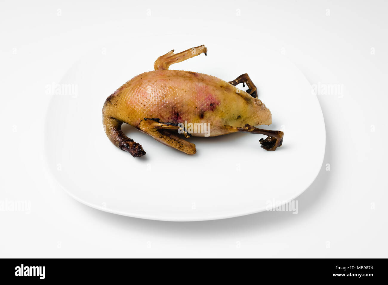 Organic game duck meat uncooked ready for cooking single one white
