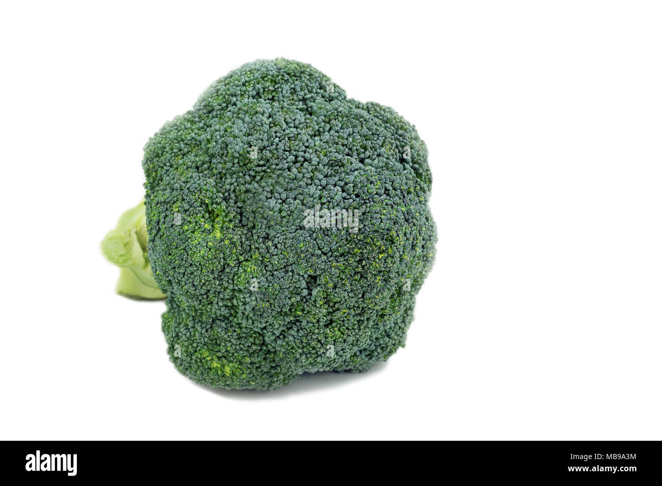 Head of fresh organic broccoli on white background Stock Photo