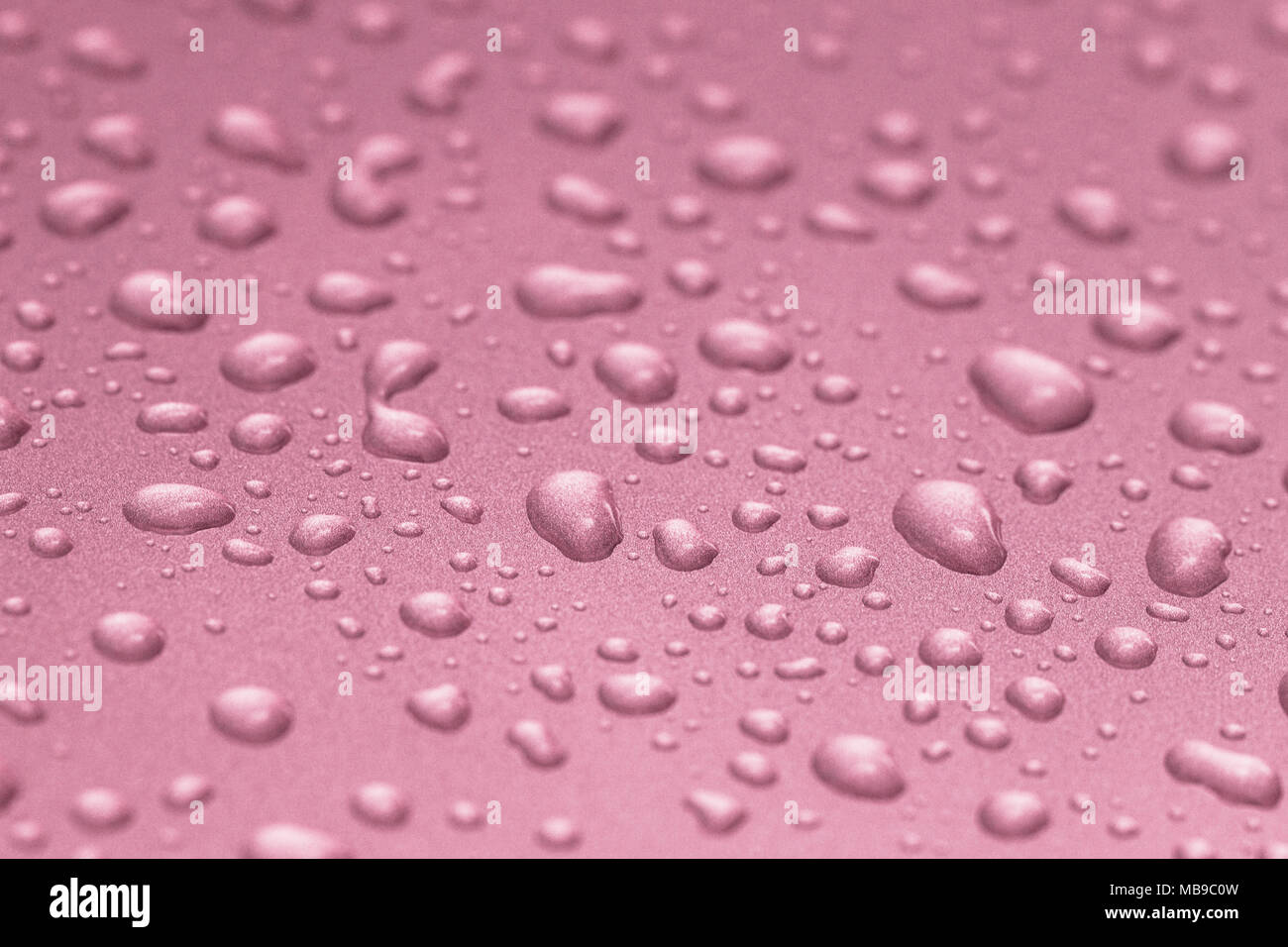 water drops on pink background Stock Photo - Alamy