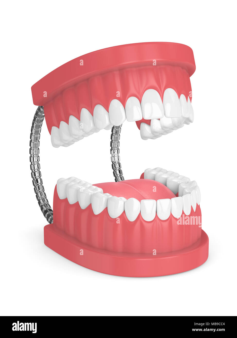 3d render of jaw model with teeth over white background Stock Photo - Alamy