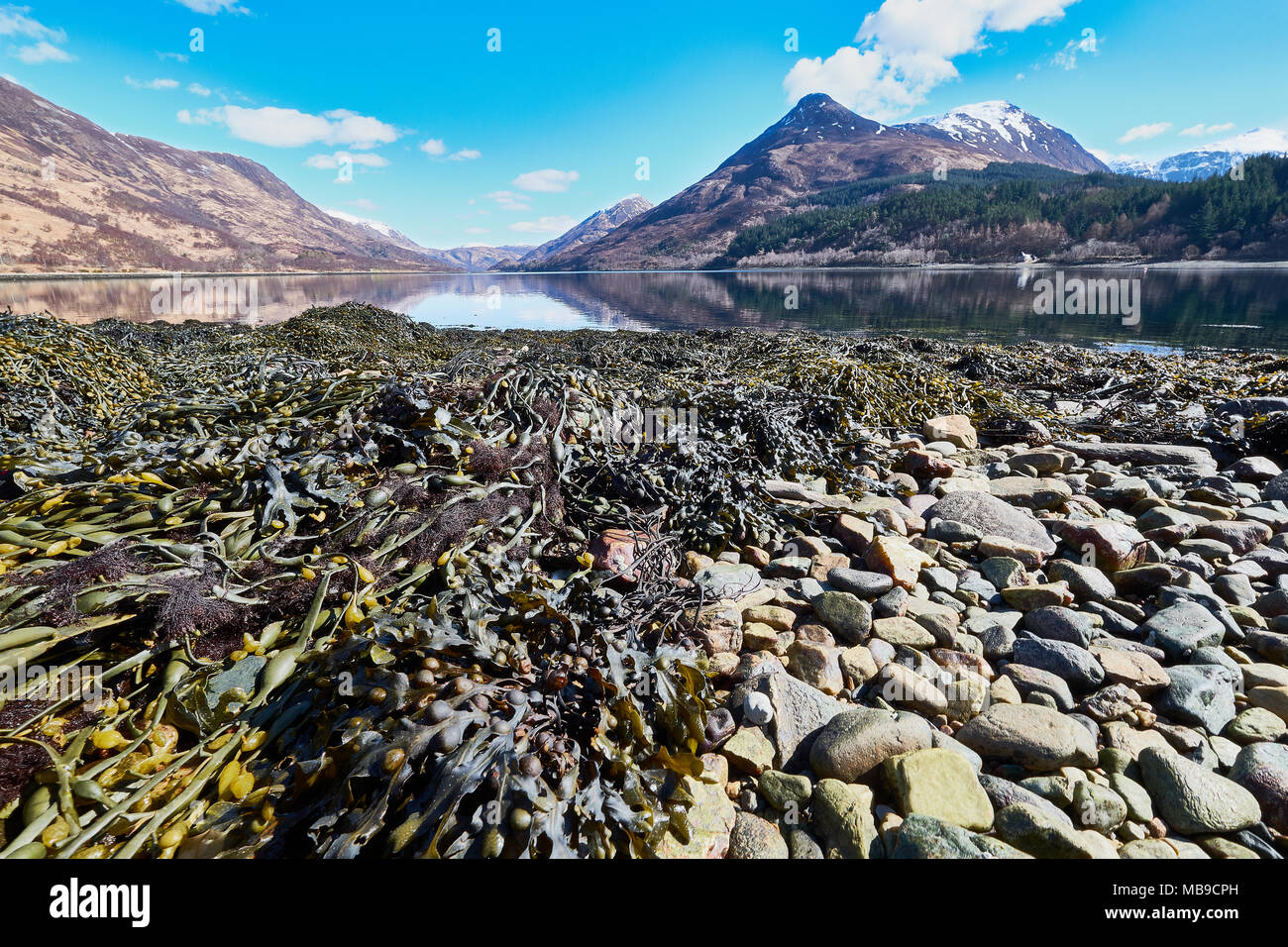 Scotland Loch Leven, Glencoe Stock Photo - Alamy