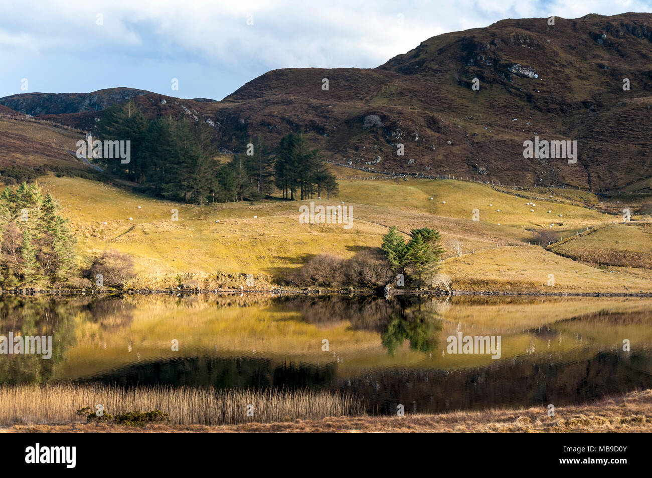 Fintown, County Donegal, Ireland,  Still reflections in Lough Finn. Stock Photo