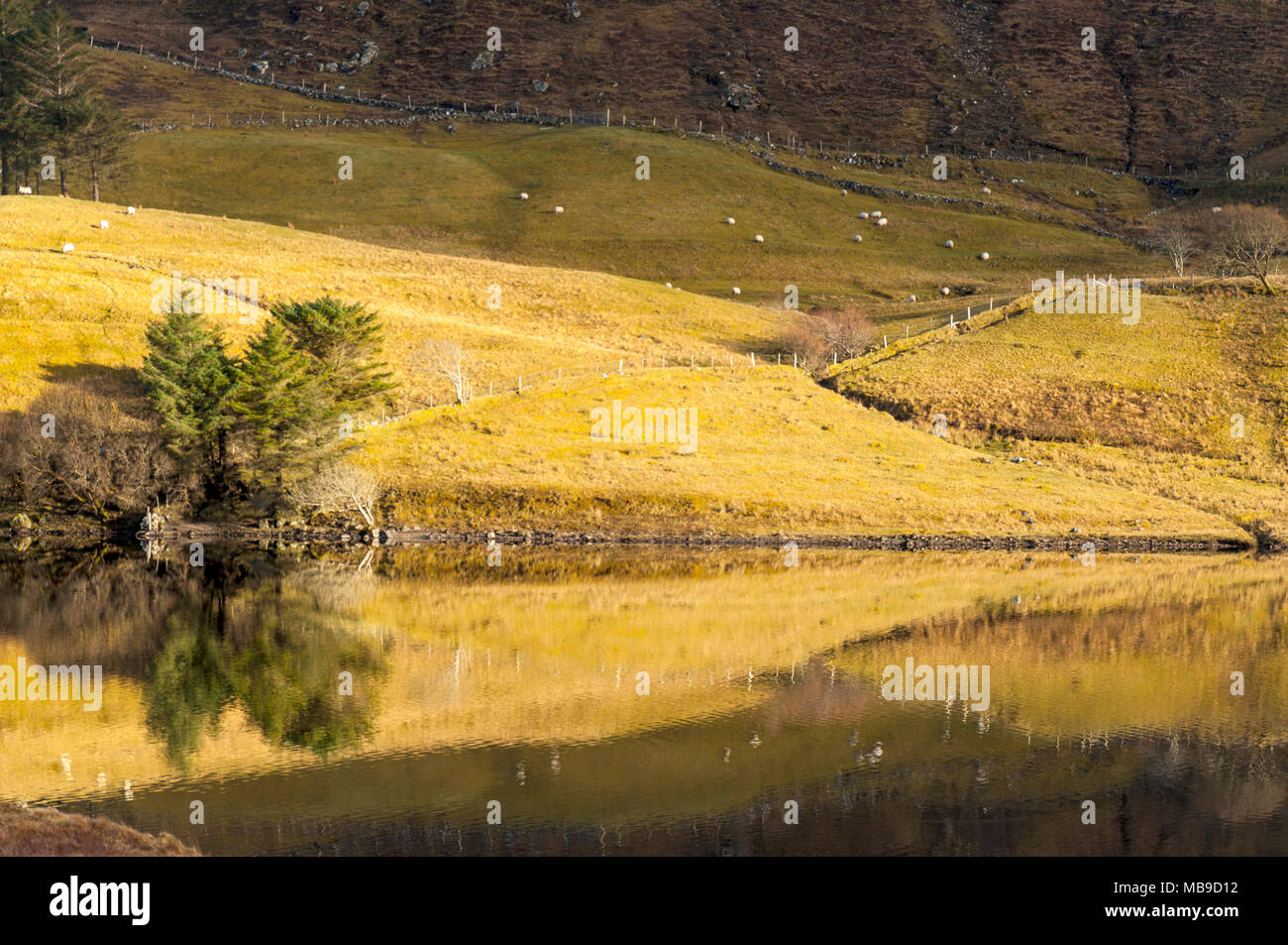 Fintown, County Donegal, Ireland, Still reflections in Lough Finn Stock