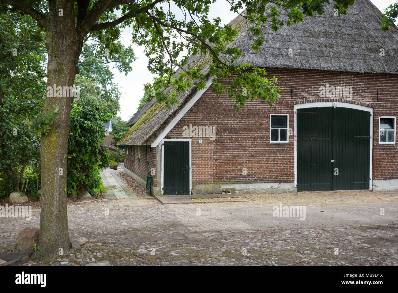 Typical Saxon farm for the province Drenthe with straw roofing in the Netherlands Stock Photo