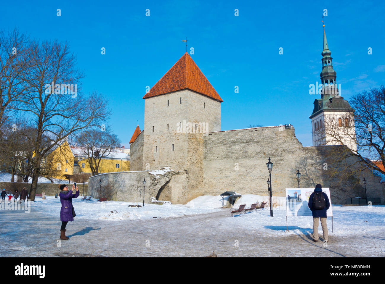 Komandandi Aed, in front of Neitsetorn, Maiden tower, Vanalinn, old town, Tallinn, Estonia Stock Photo