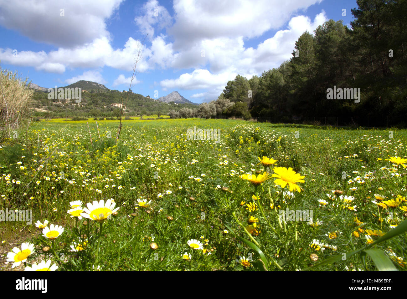 Spain During Spring Spain spring landscape hi-res stock photography and images - Alamy