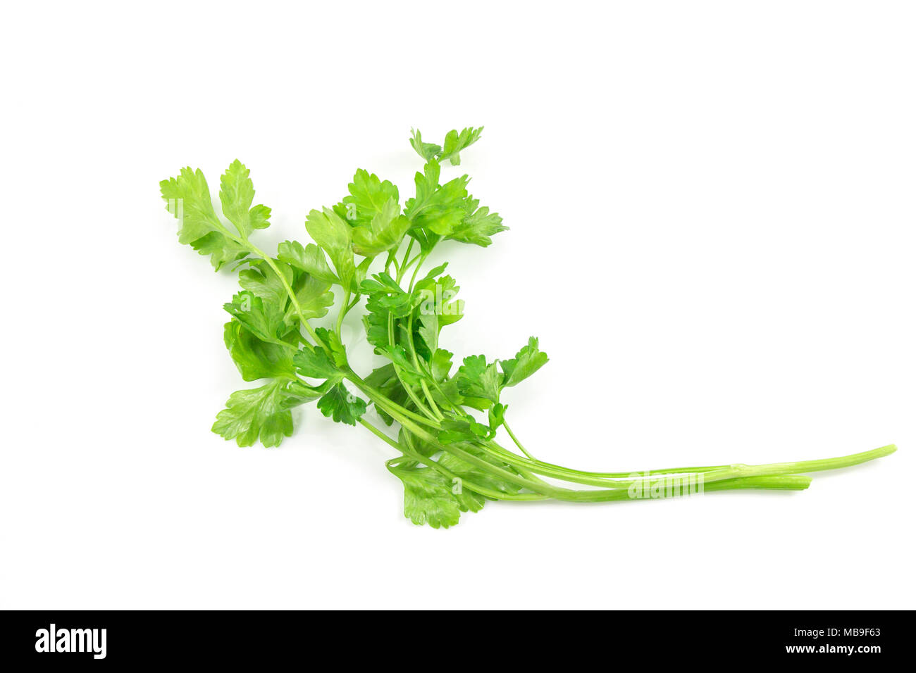 Parsley isolated on a white background with a clipping path. Stock Photo
