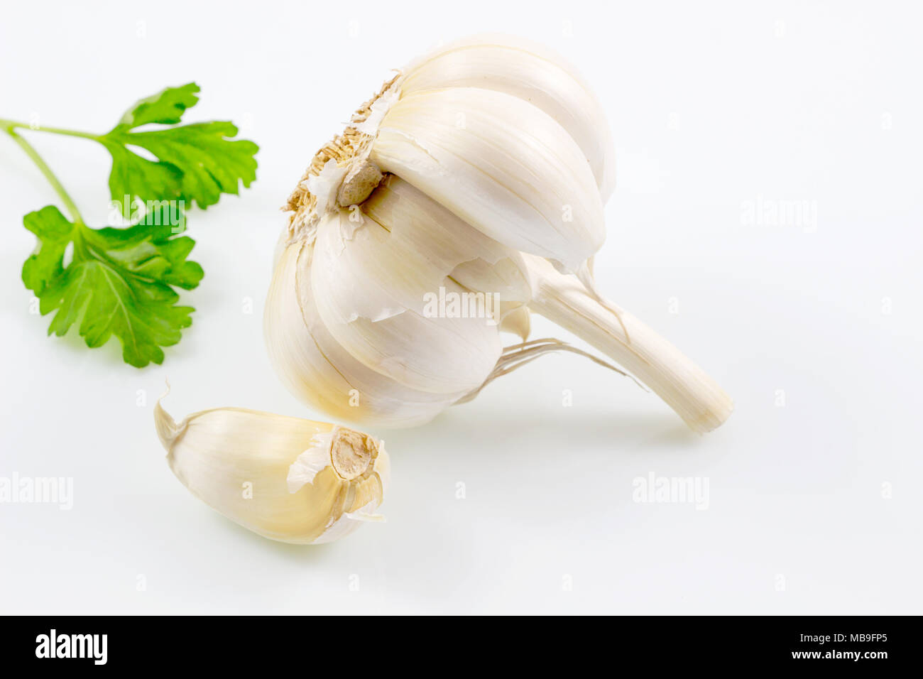 Garlic with leaves of parsley isolated on white background, Garlic and ...