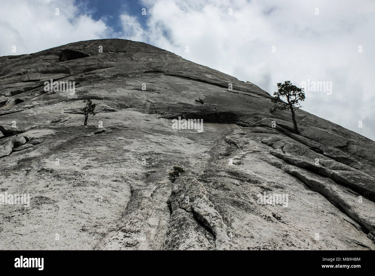 Rock Climbing In Rio De Janeiro Brazil By Sandra Corso
