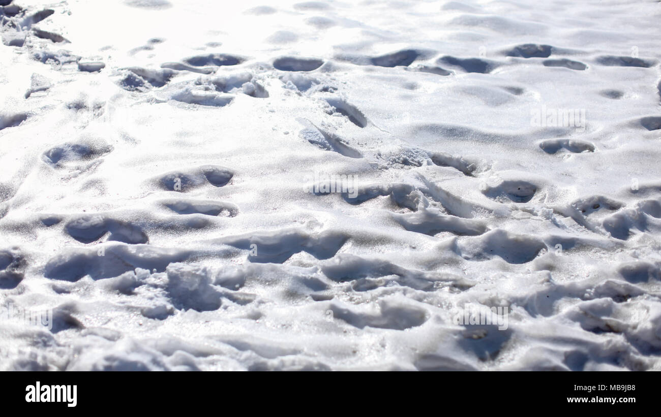 Footprint in melting snow hi-res stock photography and images - Alamy