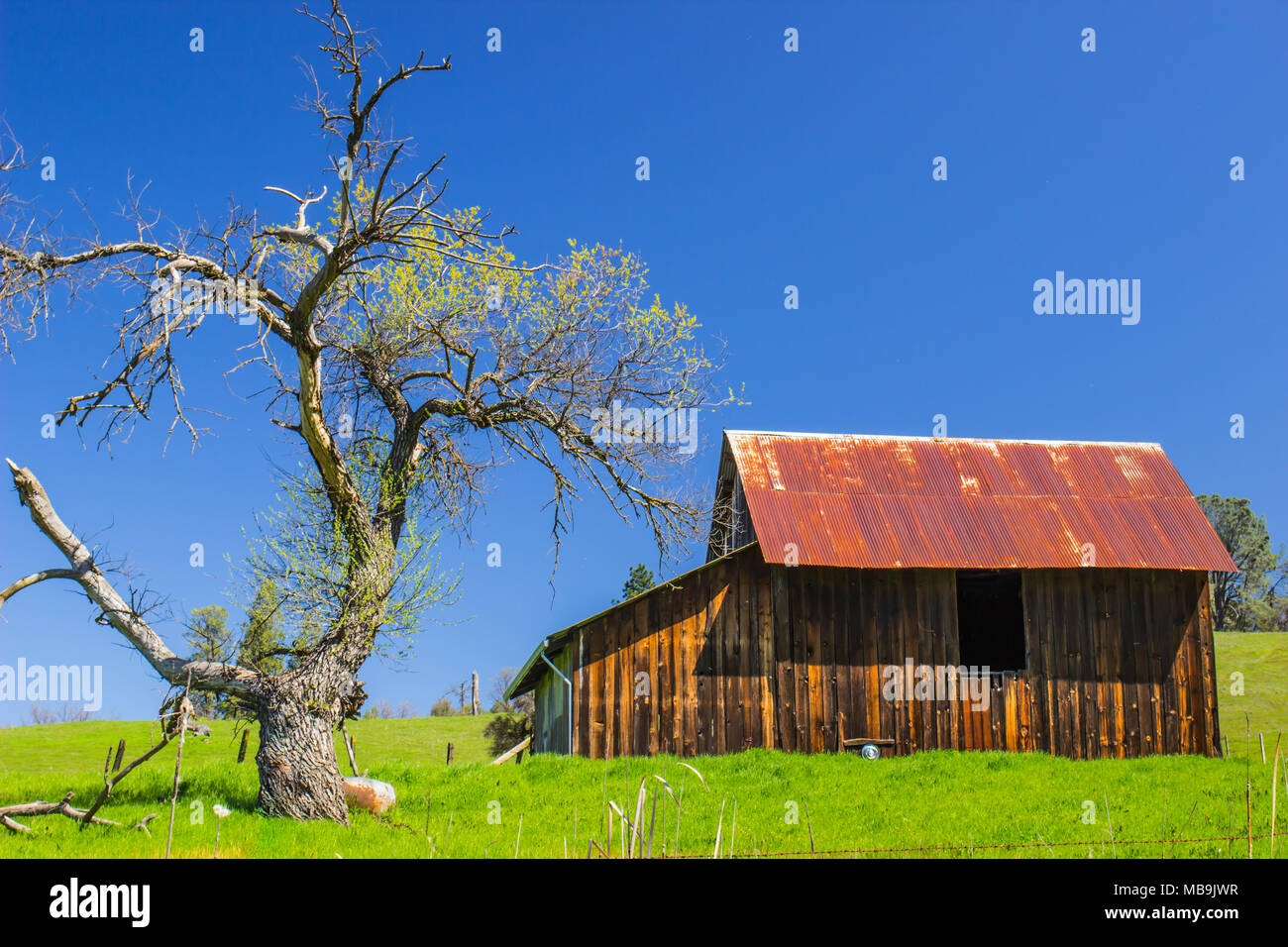 Rusty Tin Roof Stock Photos Rusty Tin Roof Stock Images Alamy