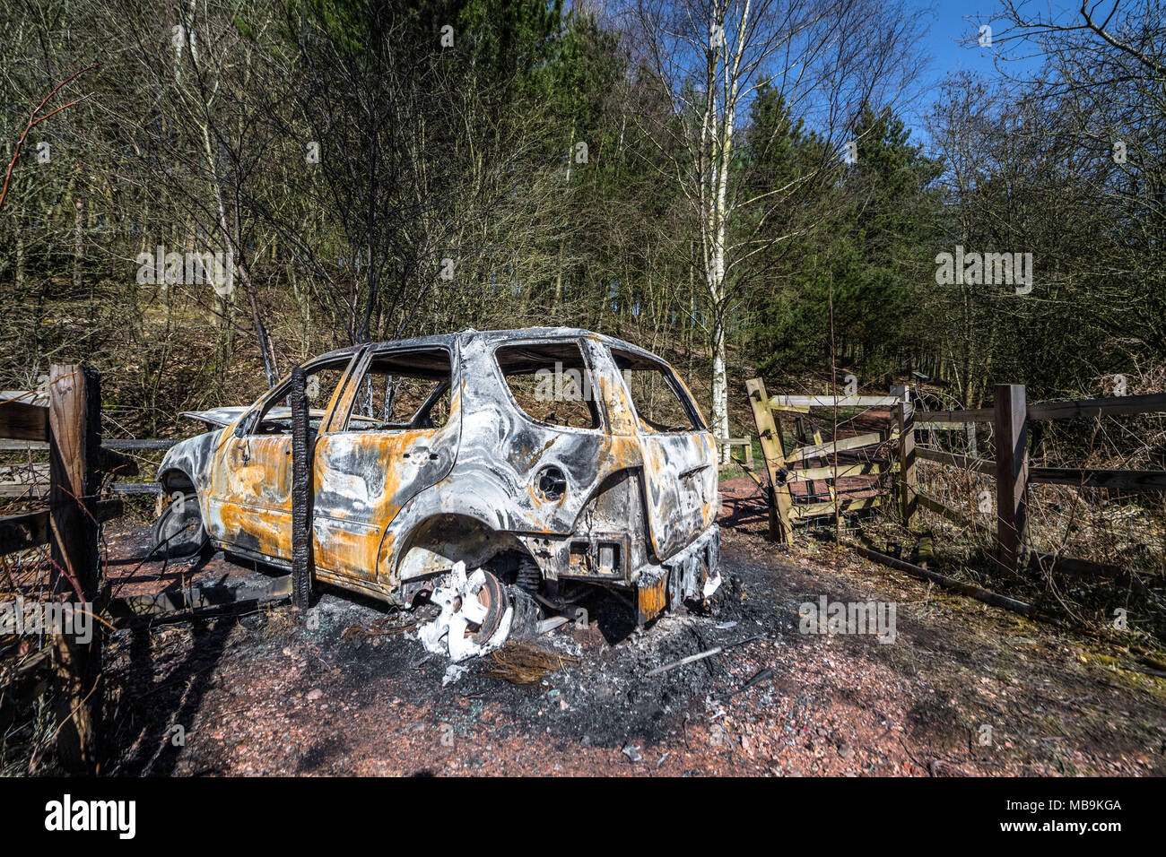 Burnt out vehicle blocking a woodland path Stock Photo