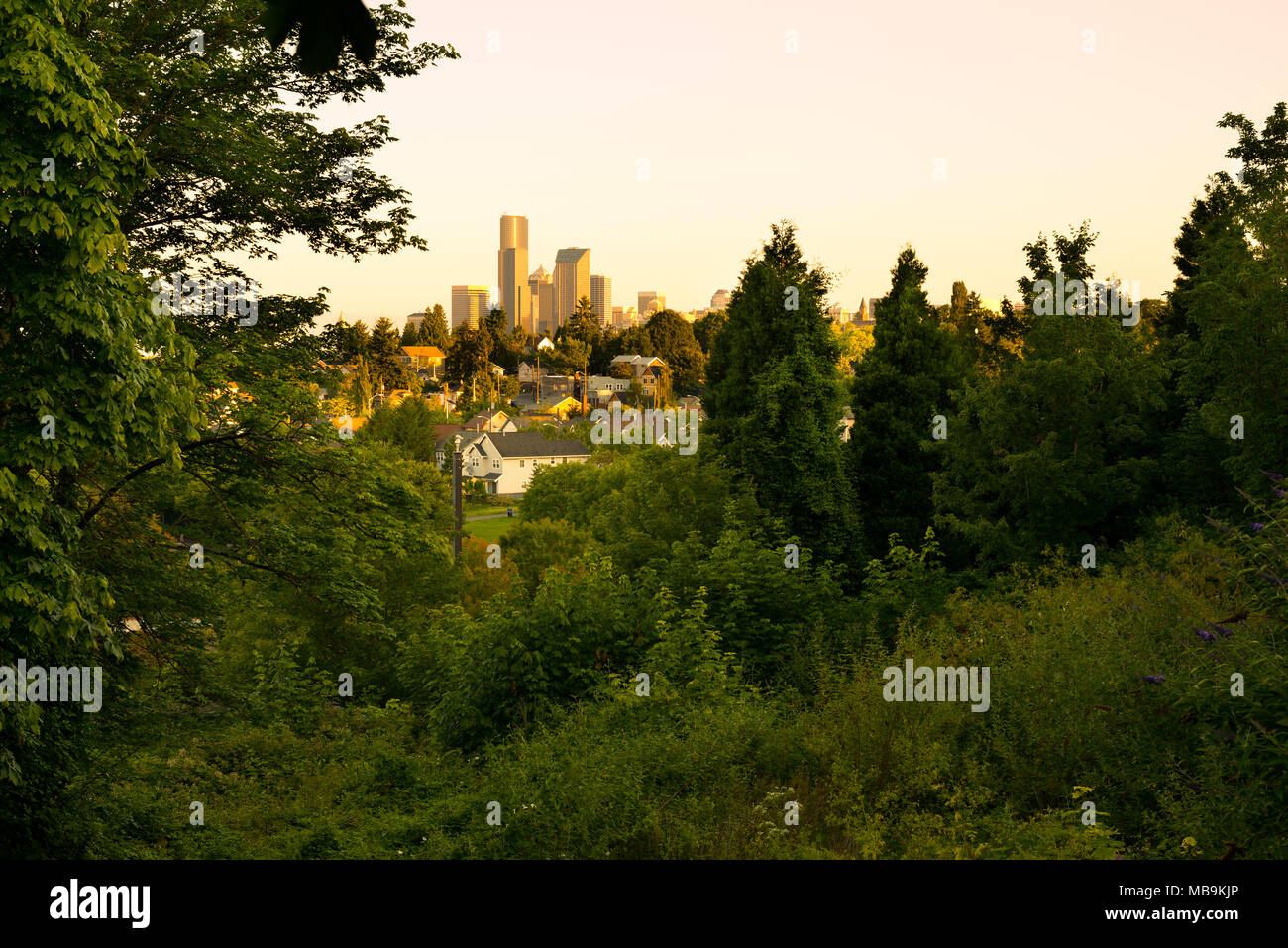 Downtown skyline and Mount Baker neighborhood, Rainier Valley District