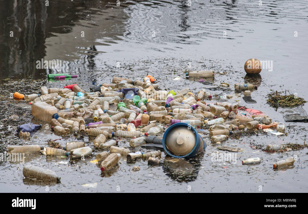 Waste single use plastic bottles seen floating in the water at Cardiff Bay, Wales, UK. Stock Photo