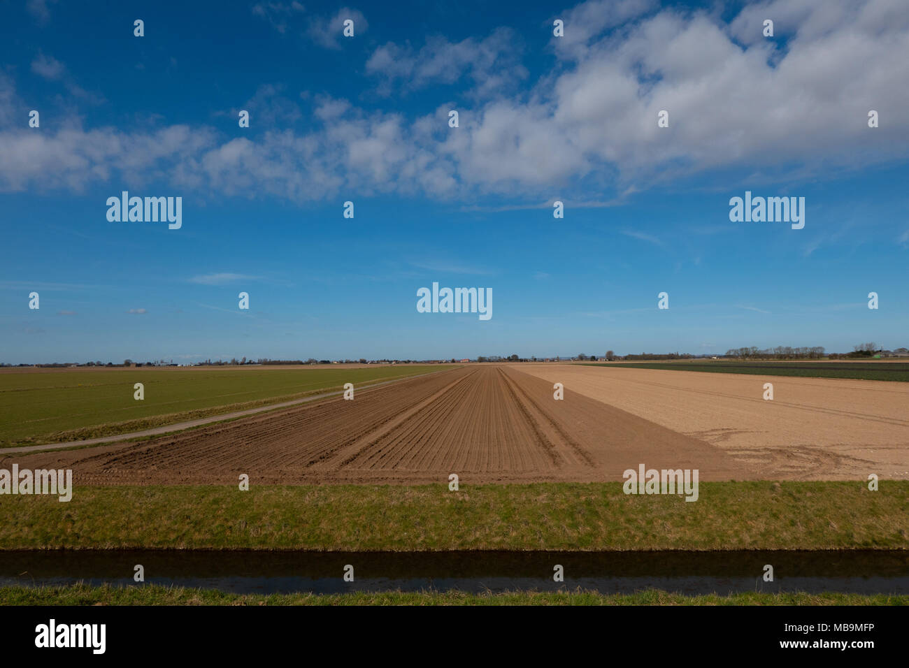 Farmland friskney lincolnshire Stock Photo - Alamy