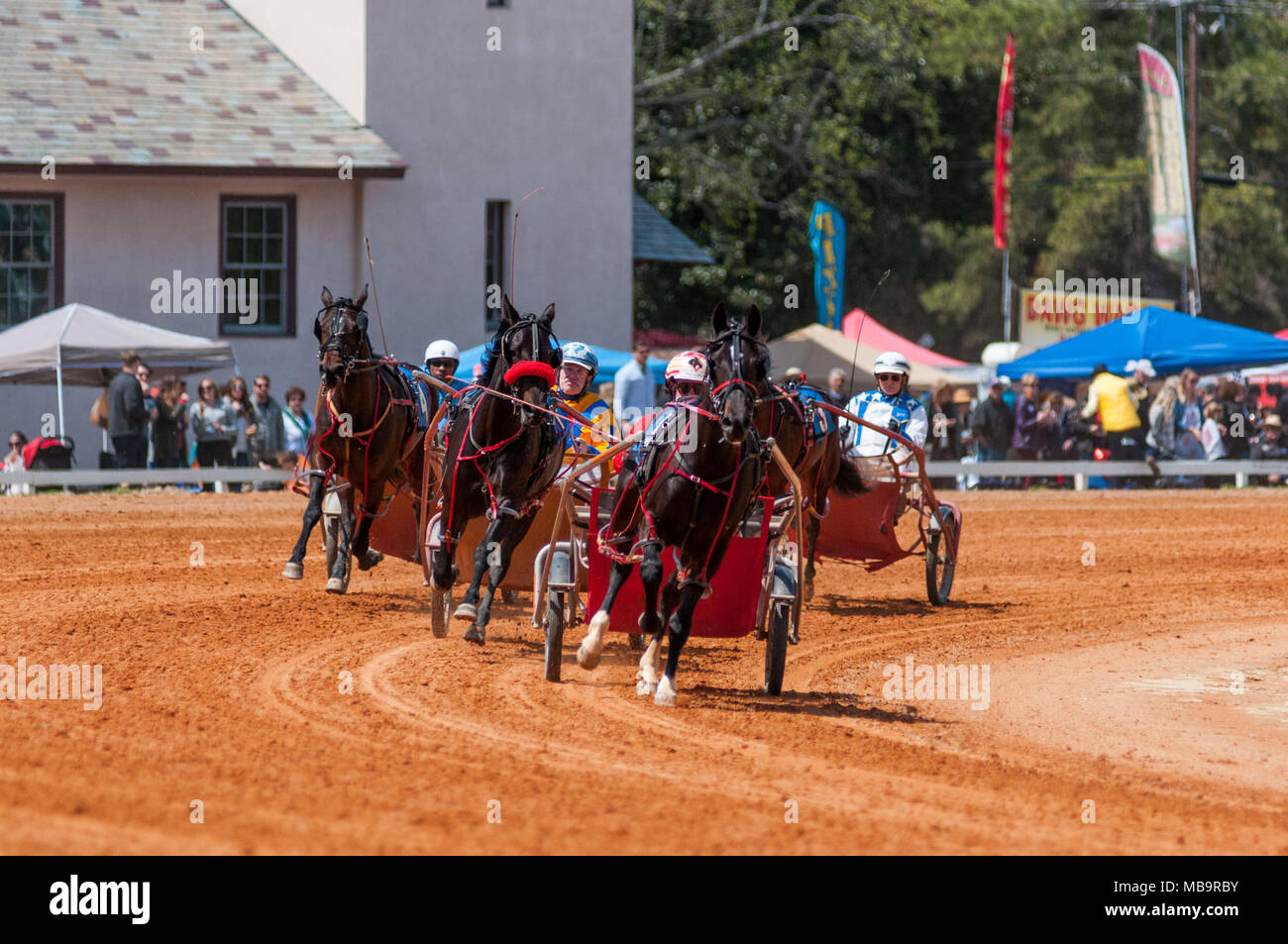 Pinehurst, North Carolina, USA. 8th Apr, 2018. April 8, 2018 Pinehurst, N.C., USA Cleo's