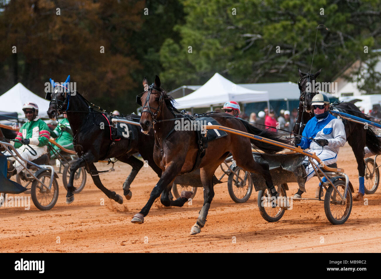 Pinehurst, North Carolina, USA. 8th Apr, 2018. April 8, 2018 - Pinehurst, N.C., USA - Bride (1) and driver, Douglas R. Ackerman, and Kolin (3) and driver, David Wade, close in on the starting gate in the fifth race at the 69th annual Spring Matinee Harness races sponsored by the Pinehurst Driving & Training Club, at the Pinehurst Harness Track, Pinehurst, N.C. The Pinehurst Harness Track is a 111-acre equestrian facility that has been a winter training center for standardbred horses since 1915. This year's races commemorate the 103rd anniversary of the track. (Credit Image: © Timothy L. Hale Stock Photo