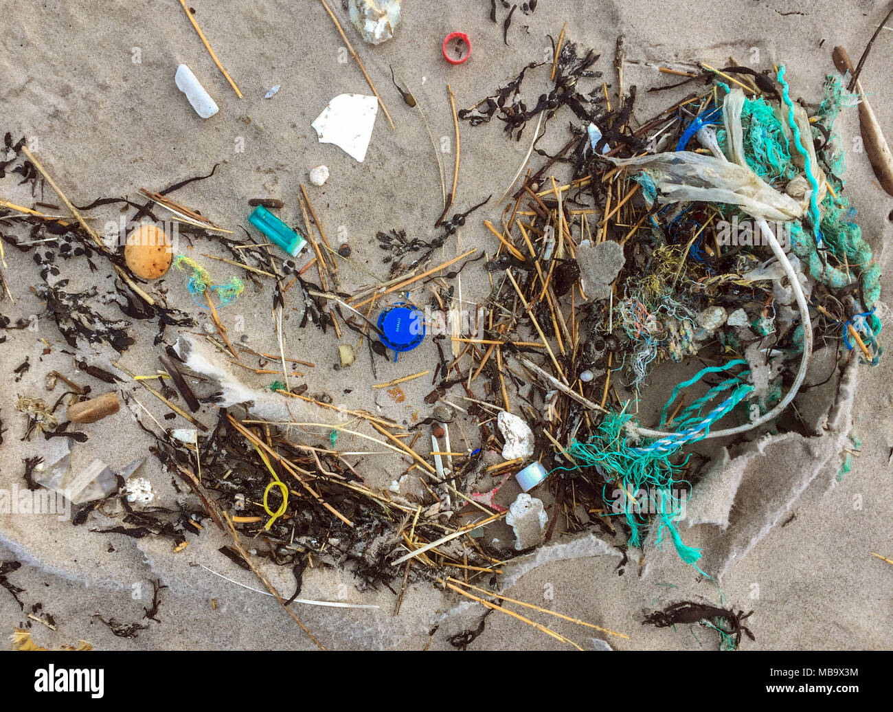 07 February 2018, Denmark, Agger: Washed-up plastic waste on a beach at the North Sea in the Thy national park. Scientists estimate that there are more than 100 million tons of plastic in the oceans. It slowly decomposes into smaller and smaller fragments, which marine organisms consume with food. In the ocean, plastic lasts a very long time, often several centuries. A plastic bottle takes 450 years to completely decompose. | usage worldwide Stock Photo