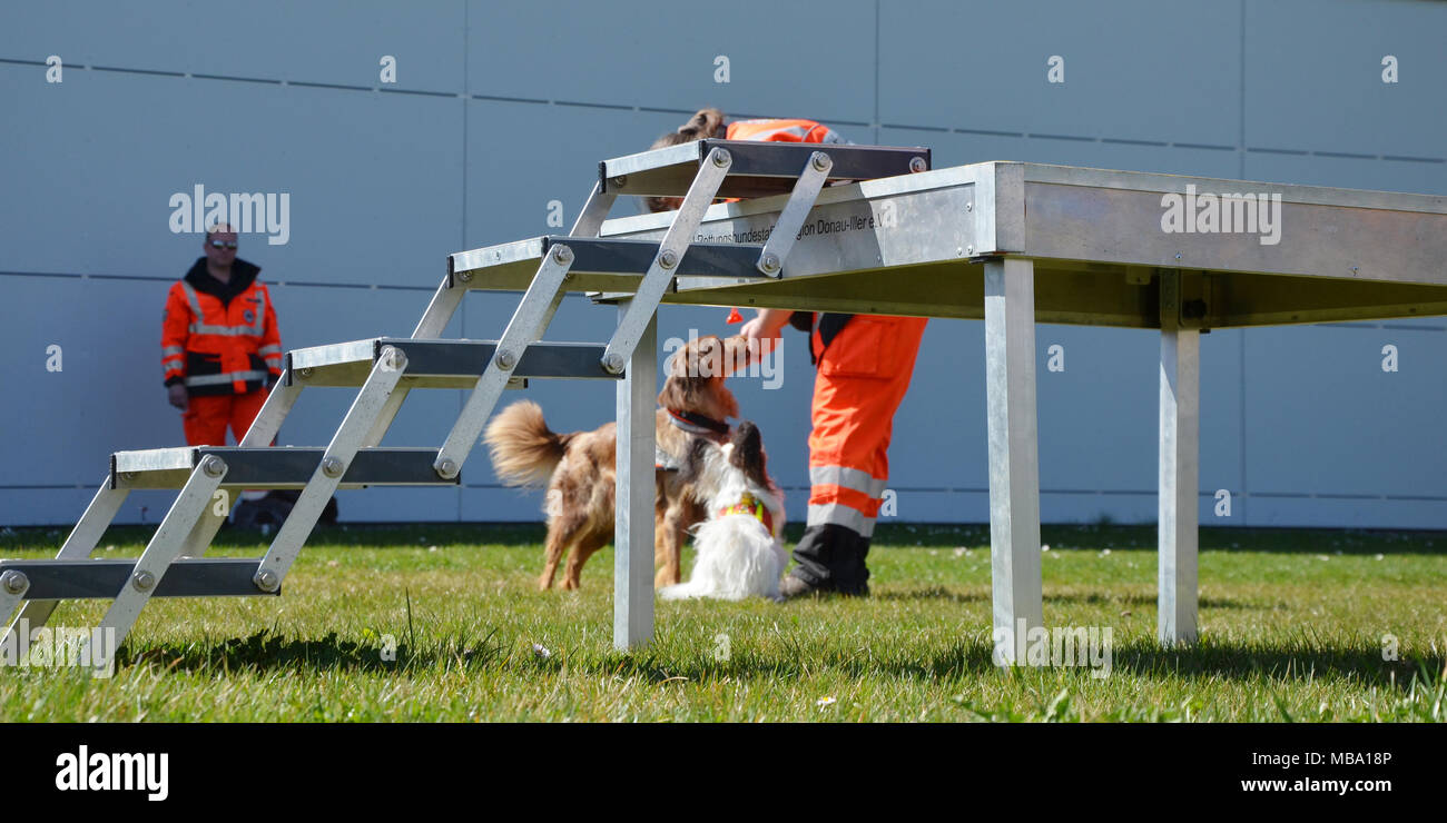 Ulm Dog High Resolution Stock Photography And Images Alamy