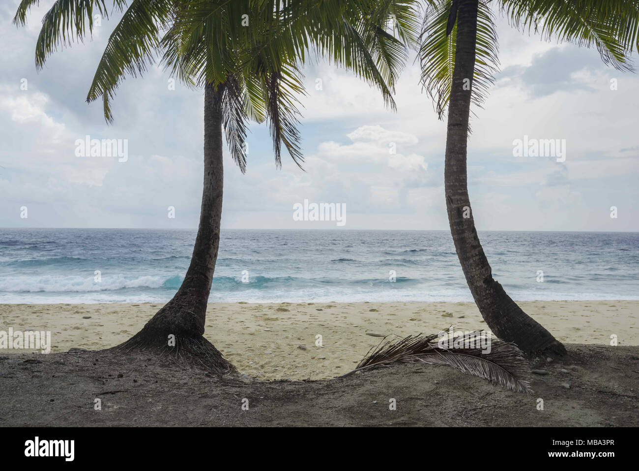 Atoll Fuvahmulah, Fuvahmulah Isl, Maldives. 16th Mar, 2018. Two palm