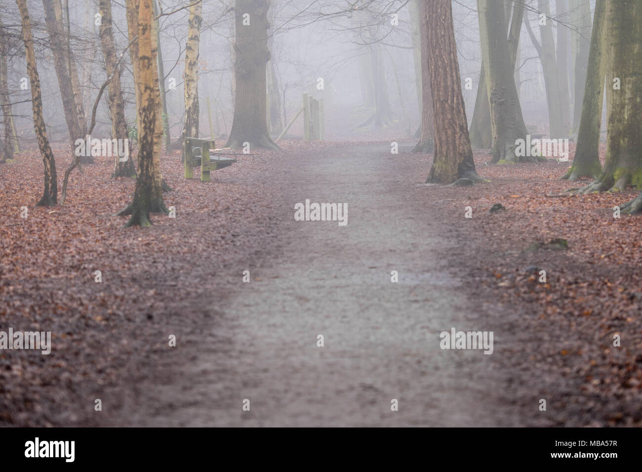 Thorndon Country Park, Brentwood, Essex, UK. 9th April, 2018. 9th April 2018   A heavy mist descended on Thorndon Country Park, Brentwood, Essex in mid-afternoon.  The park is popular with local dog walkers and ramblers.Credit Ian Davidson/Alamy Live News Stock Photo