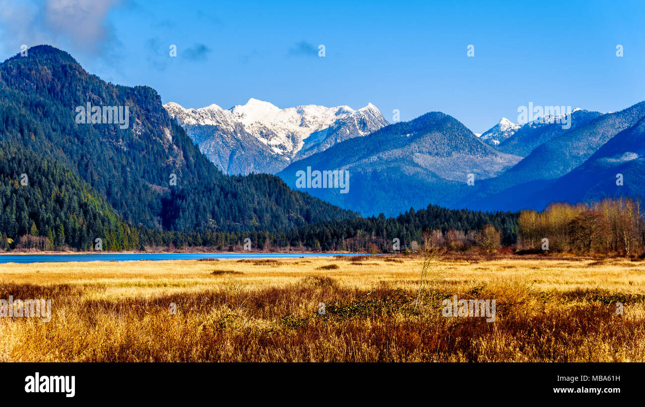 The snow covered Coast Mountains surrounding Pitt-Addington Marsh at Pitt Lake in the Fraser Valley near Maple Ridge, British Columbia, Canada Stock Photo