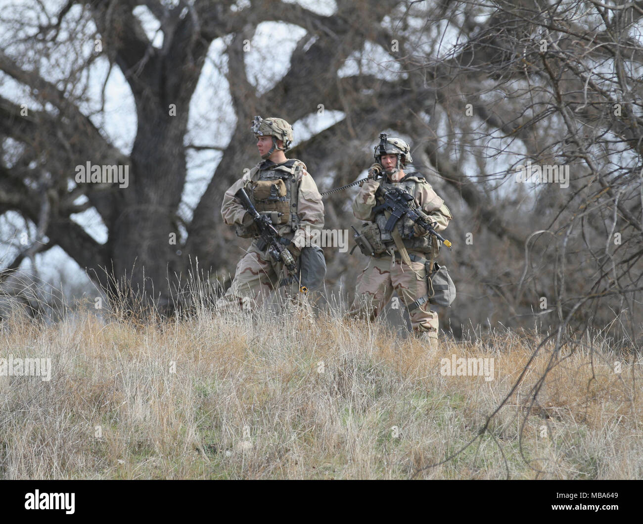 Tfghost 3rd stryker brigade combat team 2nd infantry division hi-res stock ...