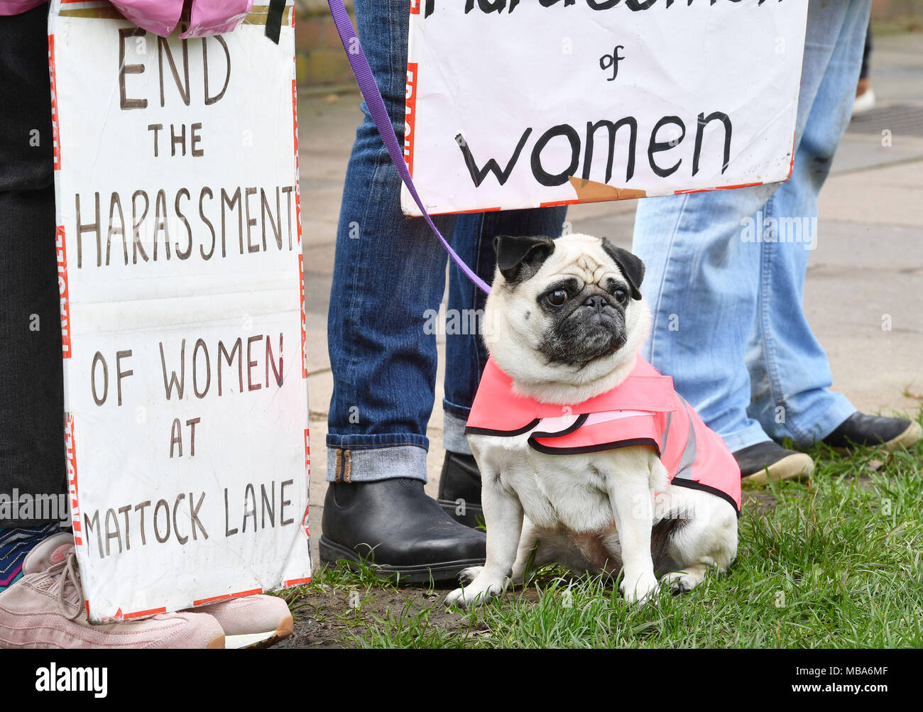 EMBARGOED TO 0001 TUESDAY APRIL 10 Betty the dog with pro-choice demonstrators outside the Marie Stopes clinic on Mattock Lane, ahead of a vote by Ealing Council on whether to implement a safe zone outside the west London abortion clinic to protect women from being intimidated. Stock Photo