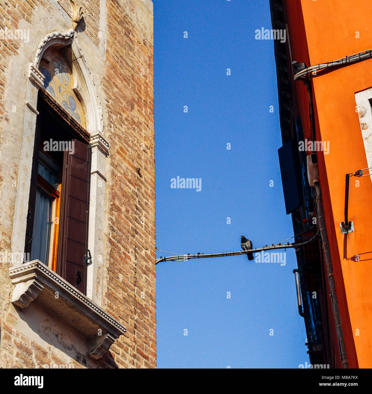 Pigeon sitting on a wire between two buildings in Venice, Italy. Stock Photo