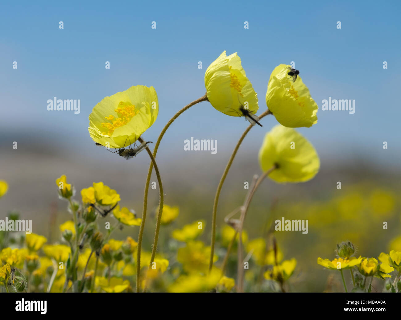 Dfgdfgdfg hi-res stock photography and images - Alamy