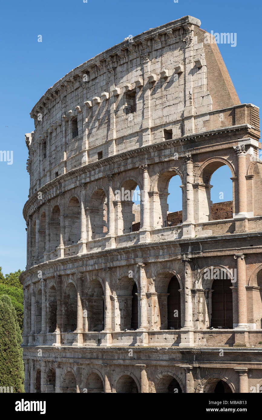 The Colosseum or Coliseum, also known as the Flavian Amphitheatre or Colosseo, is an oval amphitheatre, the largest in the world, in the centre of the Stock Photo