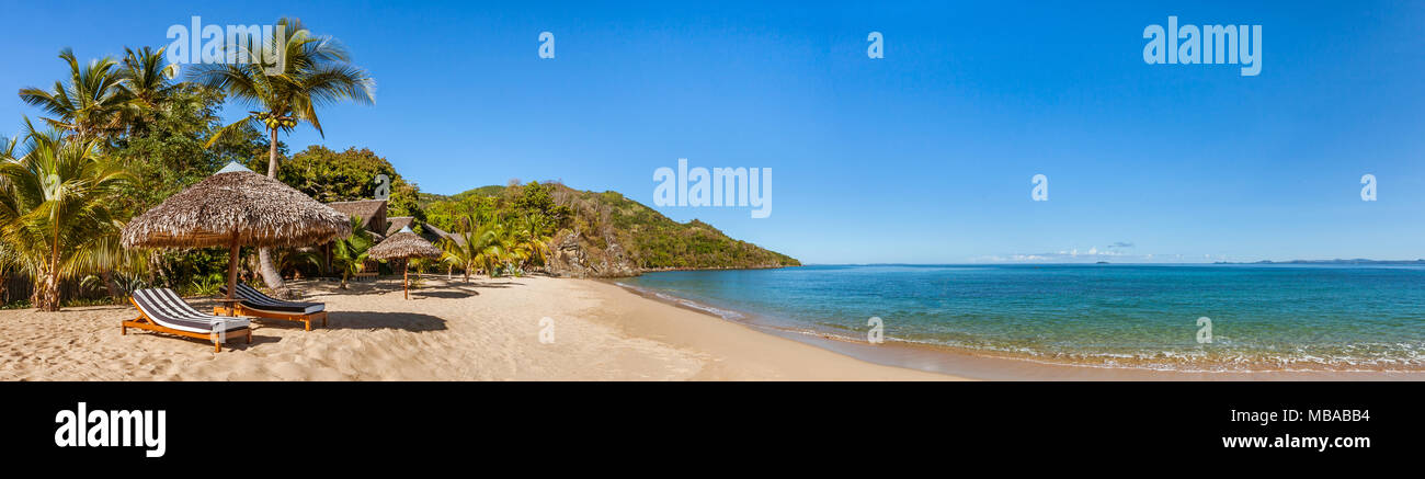 Tropical beach panorama with sunbeds, umbrellas and palm trees Stock Photo