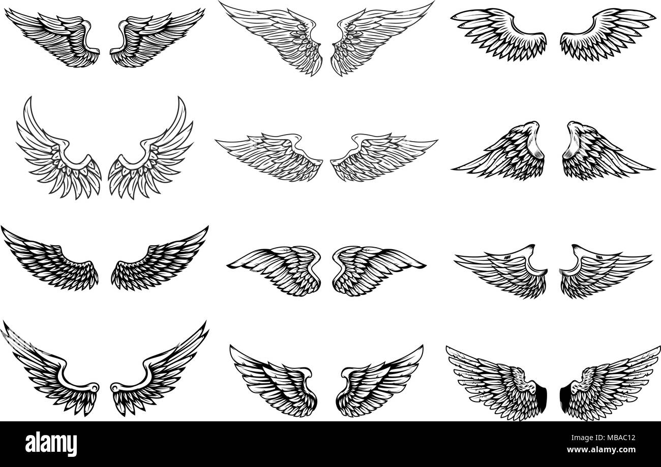 Set of wings illustrations isolated on white background. Design element ...