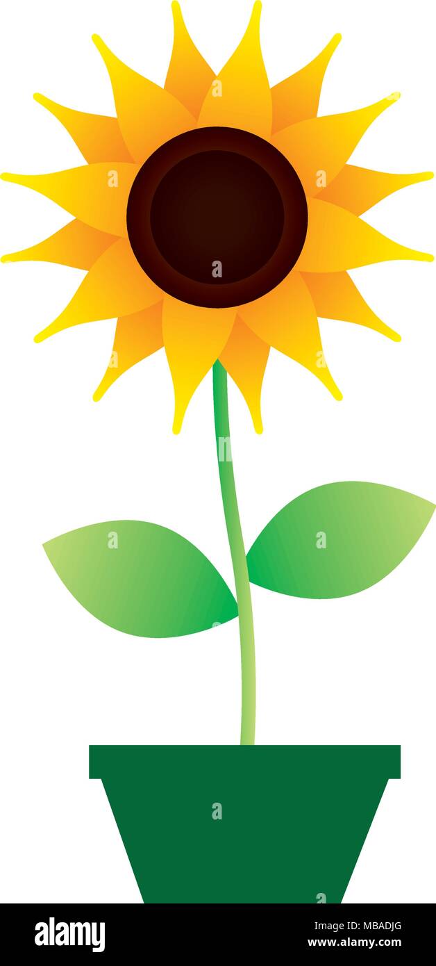 cute sunflower in pot decorative icon Stock Vector Image & Art - Alamy