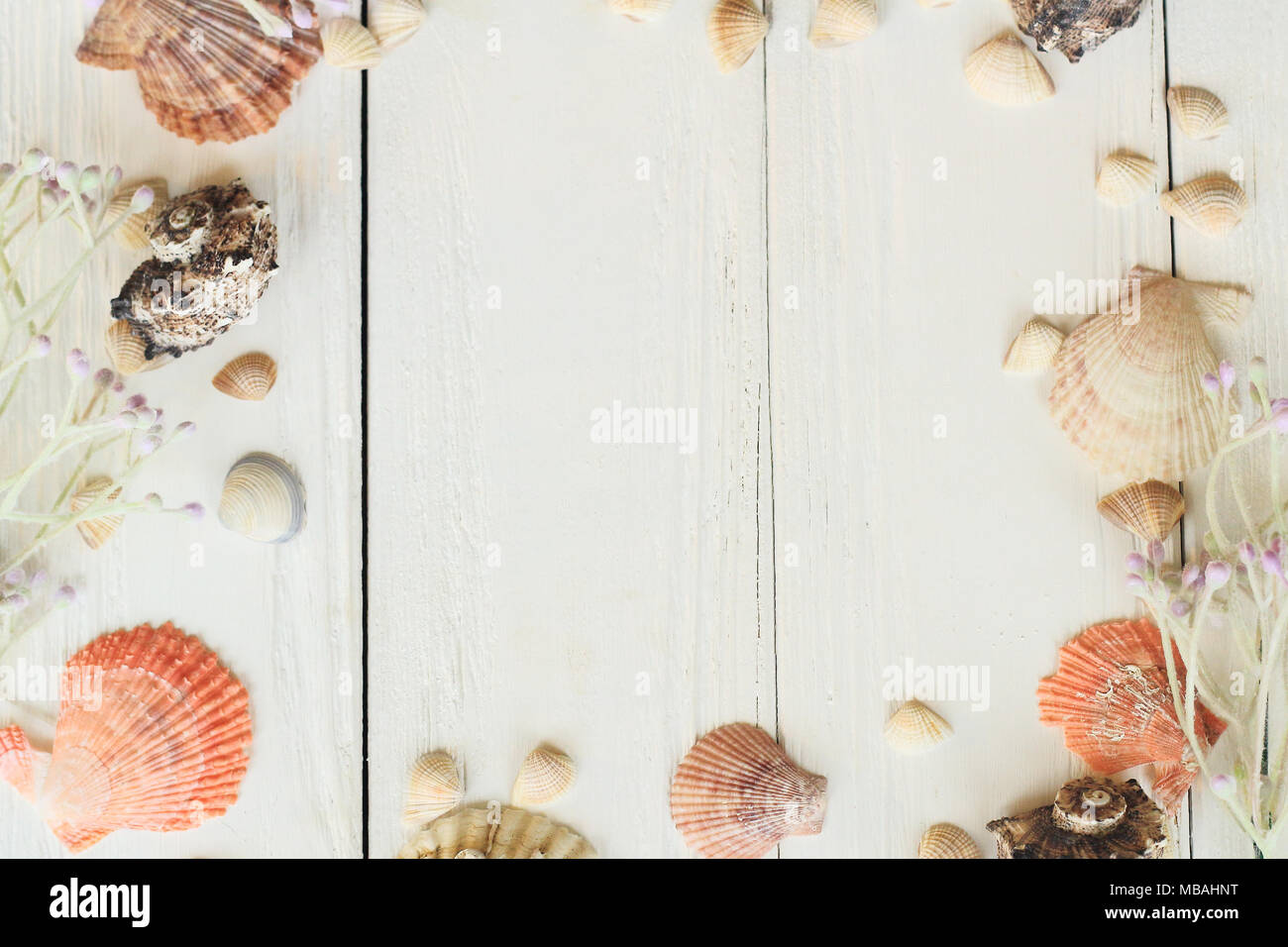 Natural shells on wooden boards. Seaside background concept. place for ...