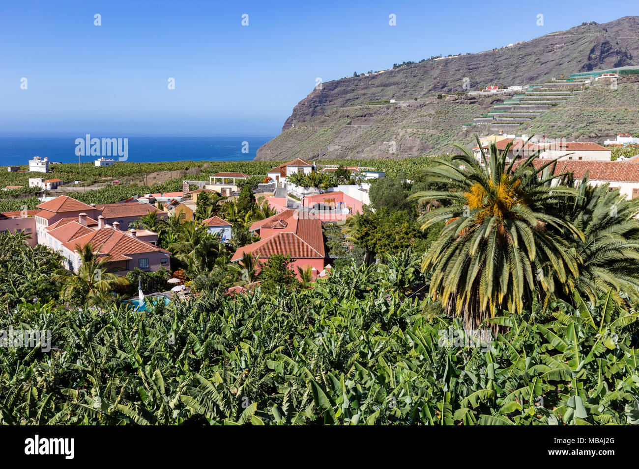 Banana plantation in Tazacorte on the Canary Island La Palma Stock