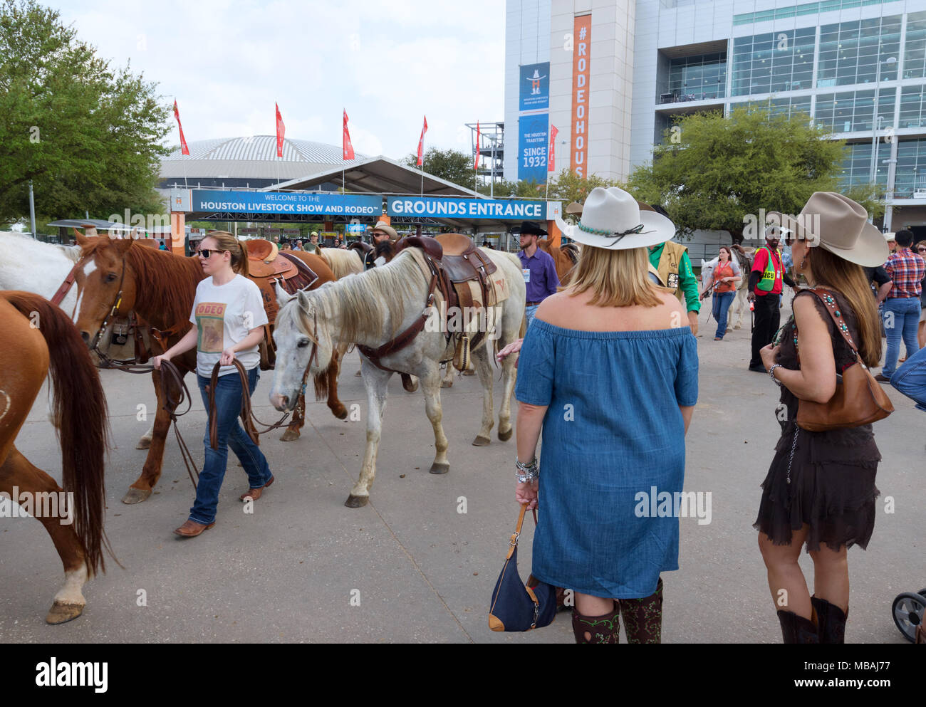 Houston Livestock Show And Rodeo High Resolution Stock Photography and