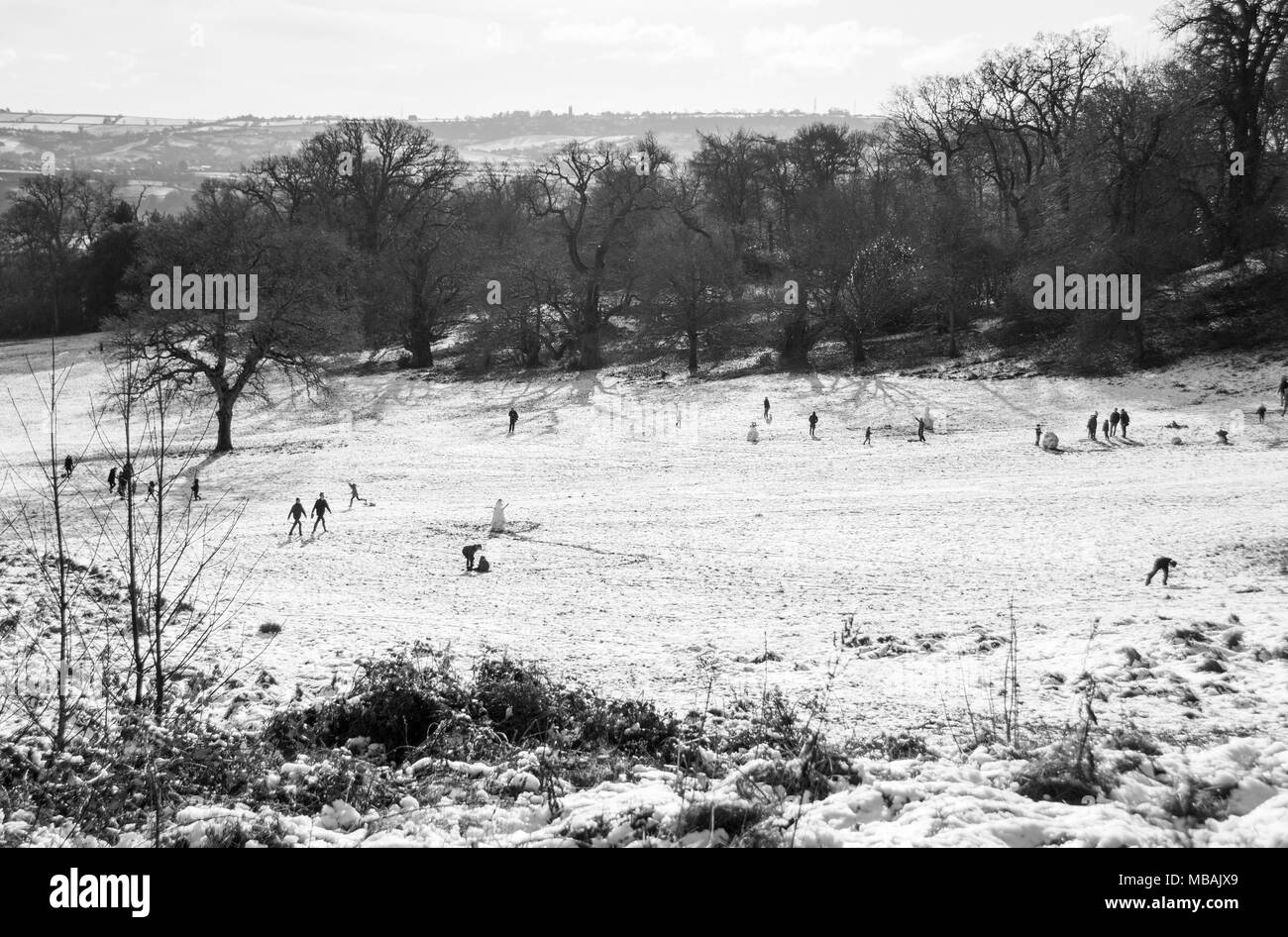 People enjoying the snow on the slopes of Ashton Court Mansion's Grounds, near Bristol, UK Stock Photo